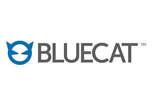 Bluecat Company logo